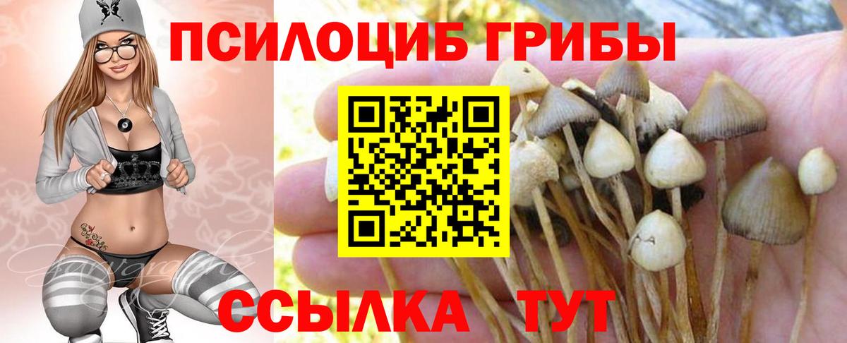 Дербент  Галлюциногенные грибы мухоморы  Вход с VPN 