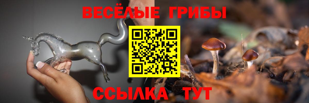 Псилоцибиновые грибы Magic Shrooms Дербент